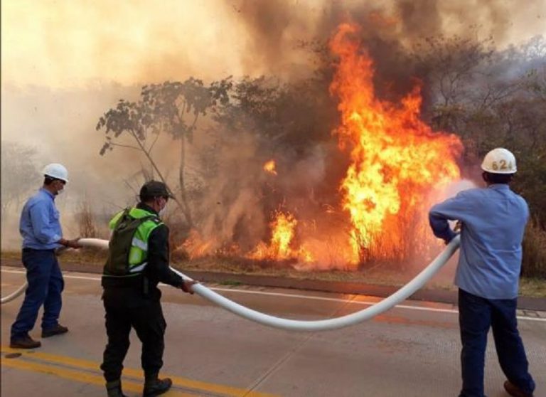 Incendio en la Chiquitanía. Foto: ABI